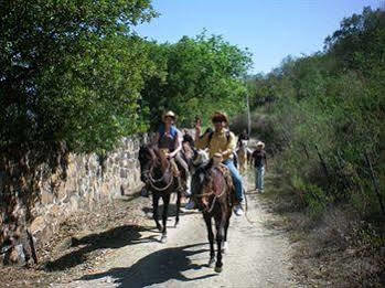 מלון סנטיאגו Eco Aventuras Santiago מראה חיצוני תמונה